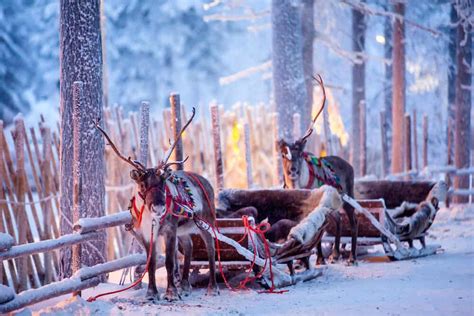 19 Things To Do in Rovaniemi - That People Actually Do!