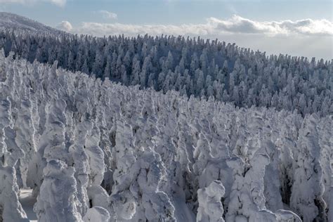 Juhyo: The Snow Monsters on Japan’s Mount Zao - The Atlantic