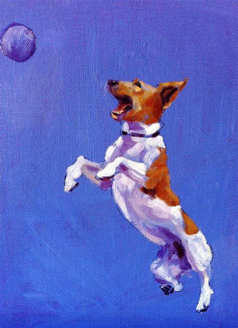 Jack Russell terrier jumping Catherineingleby.com | Собаки