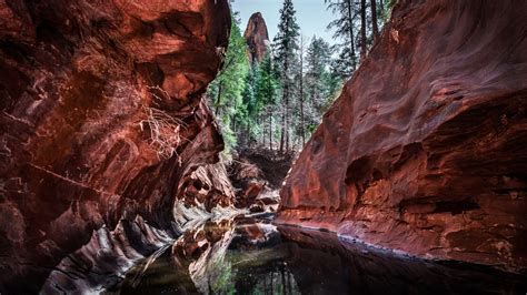 Cave Springs - Camp, Hike, and Swim near Sedona, Arizona - Free Arenas