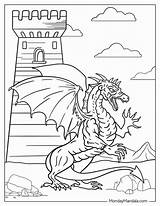 52 Dragon Coloring Pages Free PDF Printables sketch template