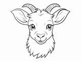 Cute And Easy Goat Coloring  Page sketch template