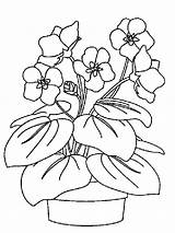 Printable Plant Coloring Pages sketch template