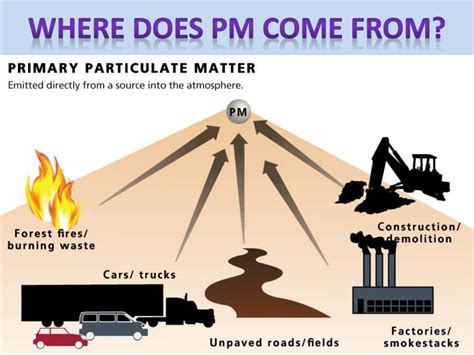 Particulate Matter