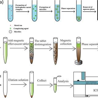 Quantitative determination of heavy metal contaminants in edible soft tissue of clams, mussels ...