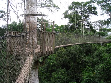 Kakum National Park + Cape Coast Castle – Alan Perlman