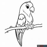 Coloring Page Parrot Pages Pirate Parrots Drawing  sketch template