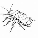 Premium AI Image  Madagascar Hissing Cockroach Doodle Cute Angel Flat sketch template