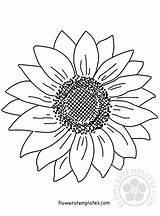 Paper Sunflower Template sketch template