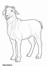 Boer Goat Friendly coloring Page sketch template