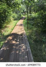 Canopy Walkway Amazon Forest Tambopata National Stock Photo 175305248 ...