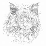 Printable Coloring Pages Realistic Animals sketch template