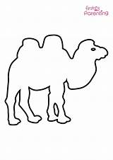 Dromedary Camel Coloring Page For Kids  FirstCry Parenting sketch template