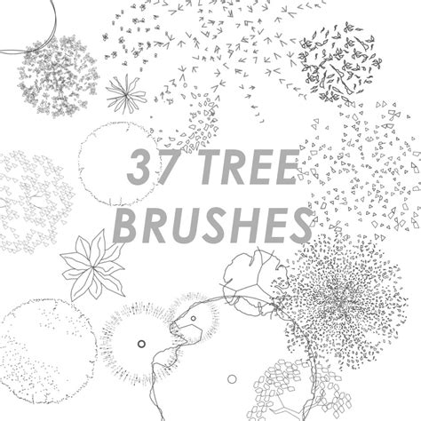Minimalist top view tree and grass brushes - Landscape Architecture