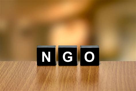 NGO vs Nonprofit: What’s the Real Difference? – Opp Institutions