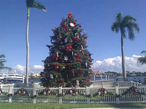 The West Palm Beach Christmas tree | @aGuyOnClematis