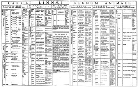 Who Came Up With Binomial Nomenclature | Biology Dictionary