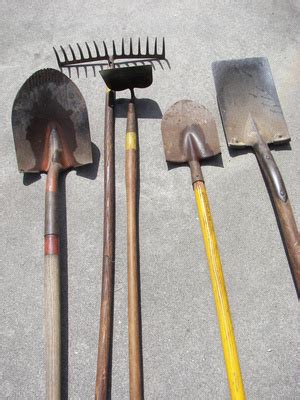 Garden Hoe Types | Garden Guides