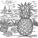 Pineapple Coloring Pages  Free & Printable sketch template