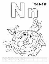 Coloring Pages Letter N Nest sketch template