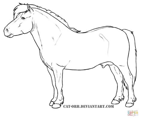 Shetland Pony | Horse coloring pages, Horse sketch, Horse art drawing