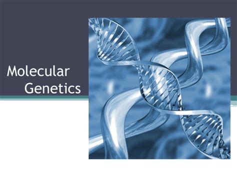 Molecular Genetics