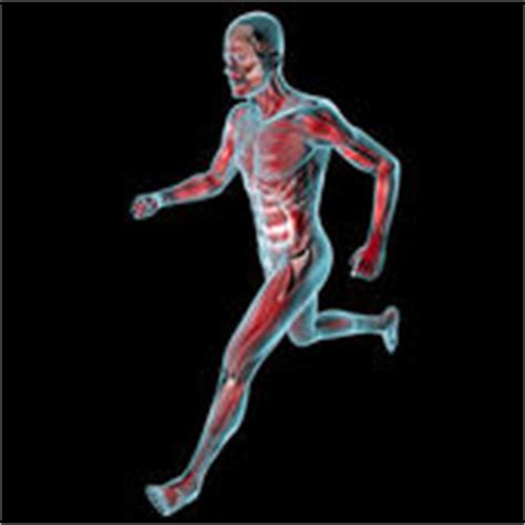 Running man muscular system anatomy — Stock Photo © CLIPAREA #13281157