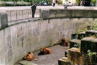 Bern, Switzerlan-have to visit the bear pits. bern means bear, it's the ...