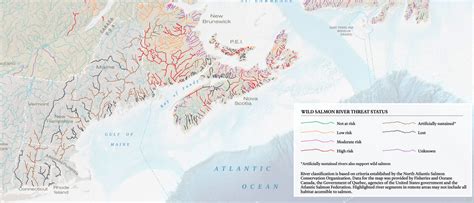 Mapping the threat status of wild Atlantic salmon | Canadian Geographic