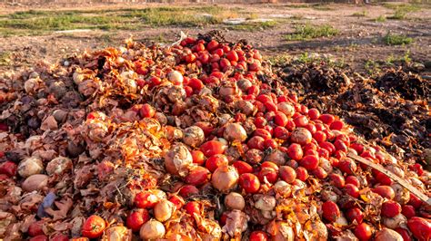 Stop food waste to fight hunger and protect the planet | UNCTAD