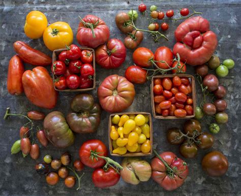 How to Store Tomatoes