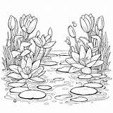 Download Educational Pond Coloring Page Pages Online  sketch template