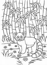 Panda Eating Bamboo Coloring Page Pages sketch template