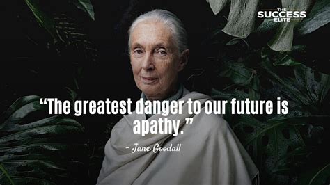 Top 40 Jane Goodall Quotes That Will Inspire You To Cherish Nature ...