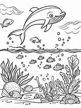 Dive Into Creativity With Coloring Pages Printable Ocean sketch template