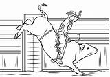 Cowboy Bull Riding Rodeo coloring Page  Download Print Or Color sketch template