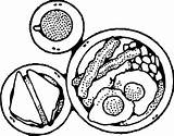 Breakfast Food Coloring Pages At GetColoringscom  Free Printable sketch template
