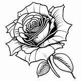 Antique Rose Flourish Coloring Page · Creative Fabrica sketch template