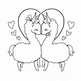 Llama Alpaca Coloriage Yampuff Lineart Animal Llamacorn Llamas  sketch template