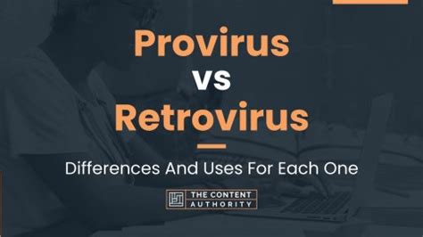 Provirus vs Retrovirus: Differences And Uses For Each One