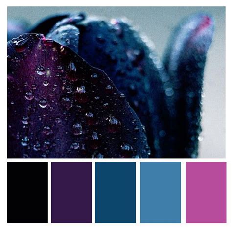 Colours | Dark color palette, Blue colour palette, Purple color palettes