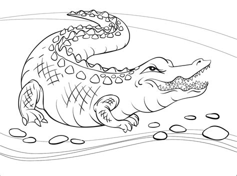 Angry Alligator Coloring Page - Free Printable Coloring Pages for Kids