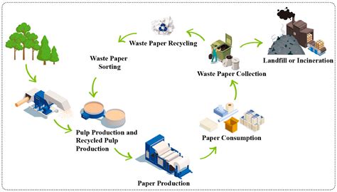 Polymers | Free Full-Text | Waste Paper as a Valuable Resource: An Overview of Recent Trends in ...