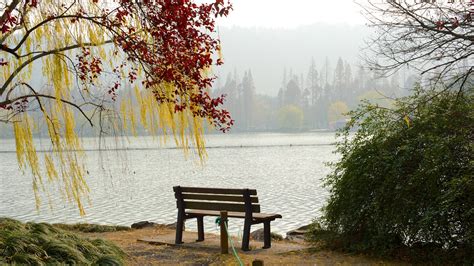 The Best Hotels Closest to West Lake in Hangzhou for 2021 - FREE Cancellation on Select Hotels ...