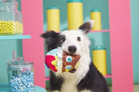 Best Treats and Toys For Dogs | POPSUGAR Pets