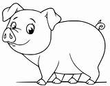 Baby Pig 1 sketch template