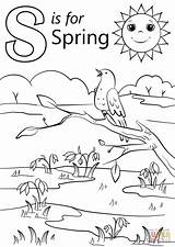 Letter S Is For Spring coloring Page  Free Printable Coloring Pages sketch template