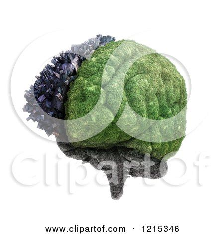 Clipart of a 3d City and Nature Brain Split by Cerebral Hemispheres, over White - Royalty Free ...