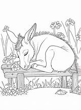 70  Donkey Coloring Pages Free Printable PDF JPG PNG & Online sketch template