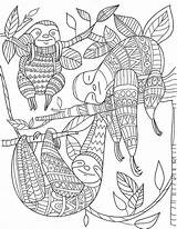 Free Zentangle Coloring Pages Sketch Page sketch template